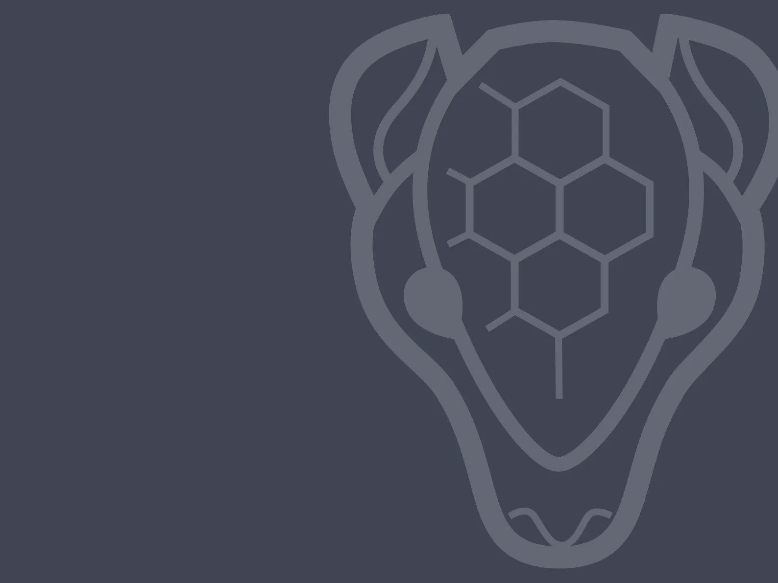 A stylised drawing of an armadillo's face in light grey on a dark grey background. The face is set to the right, with the left side of its face slightly out of frame. The armadillo's watchful eyes are pointed straight at the viewer.